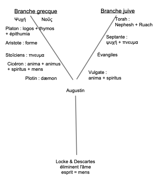 Schéma de l'évolution de la psyché